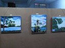 SMS, Meerabagh - Book Week - Art Exhibition : Click to Enlarge