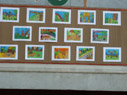 SMS, Meerabagh - Book Week - Art Exhibition : Click to Enlarge