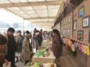 SMS, Meerabagh - Book Week - Art Exhibition : Click to Enlarge