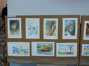 SMS, Meerabagh - Book Week - Art Exhibition : Click to Enlarge