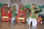 SMS Meera Bagh - Janmashtami Celebrations (2011) : Click to Enlarge