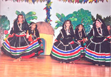 SMS Sr., Meera Bagh : Folk Dance : Class II (2012) - Click to Enlarge