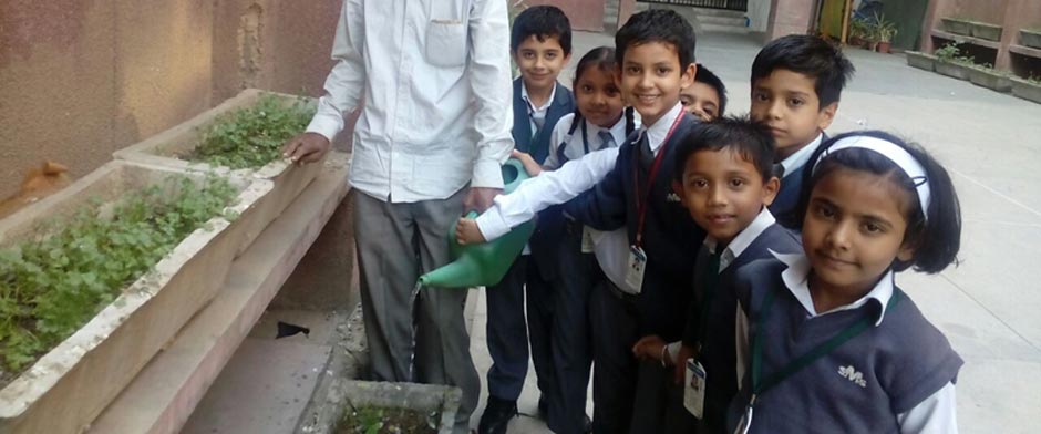 St. Mark's School, Meera Bagh - Gardening for Class II : Click to Enlarge