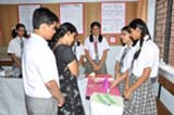 SMS, Meera Bagh - Science Exhibition (2011) : Click to Enlarge