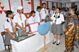 SMS, Meera Bagh - Science Exhibition (2011) : Click to Enlarge
