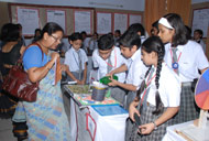 Quest 2010 - Click to Enlarge