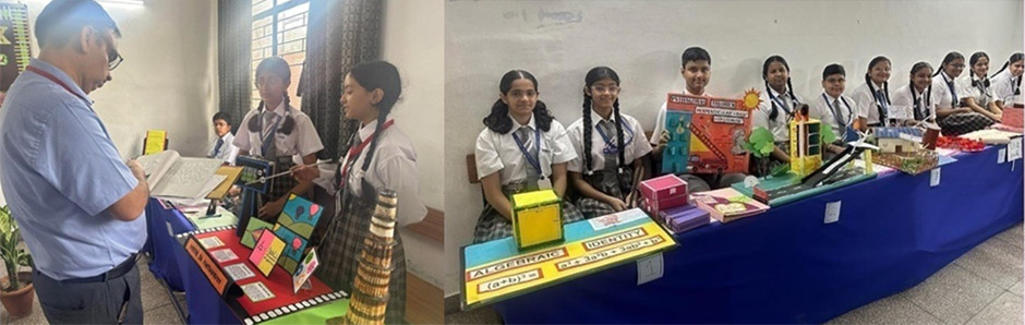 St. Mark's Sr. School, Meera Bagh : Insectomania for Class VII at Quest 2023 - Click to Enlarge