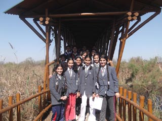 SMS, Sr., Meera Bagh - Eco Club - Yamuna Biodiversity Park : Click to Enlarge