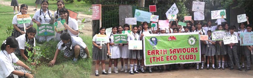 SMS Sr., Meera Bagh - Tree Plantation at Paschim Vihar Park, Delhi on 22 July 2013