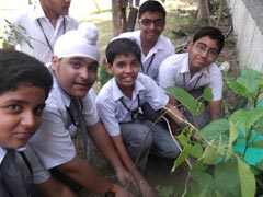 SMS Meera Bagh - Eco Club - Tree Plantation Drive  Subhash Nagar Red Flats, Delhi : Click to Enlarge