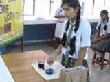 St. Mark's Meera Bagh - One Minute Activity - Day 2 : Click to Enlarge