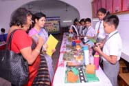 St. Mark's School, Meera Bagh - Quest 2015 : Science and Maths Exhibition for Class VI : Click to Enlarge