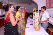 St. Mark's School, Meera Bagh - Quest 2015 : Science and Maths Exhibition for Class VIII : Click to Enlarge