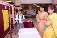 St. Mark's School, Meera Bagh - Quest 2015 : Science and Maths Exhibition for Class IX : Click to Enlarge