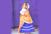 SMS, Janakpuri - SAMBHAV - a celebration of life : Click to Enlarge