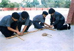 Scouts - Click to Enlarge