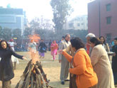 Lohri Celebrations - Click to Enlarge