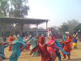 Lohri Celebrations - Click to Enlarge
