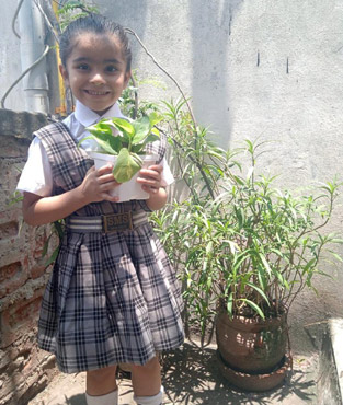 St. Marks Sr. Sec. Public School, Janakpuri - World Environment Day : Click to Enlarge
