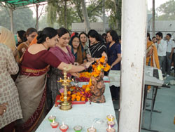 Diwali Celebrations - Click to Enlarge