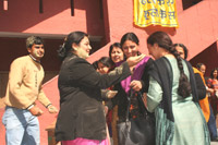 Festival of Colours - Click to Enlarge
