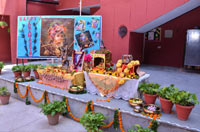 SMS, Janakpuri - Janmashtami Celebrations : Click to Enlarge