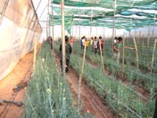 SMS, Janakpuri - Trip to Nahan organized by the Scat Camp (2012) : Click to Enlarge