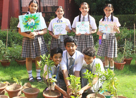 St. Marks Sr. Sec. Public School, Janakpuri - Tree Plantation Drive : Click to Enlarge