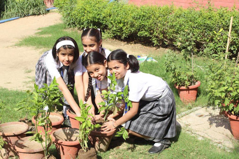 St. Marks Sr. Sec. Public School, Janakpuri - Tree Plantation Drive : Click to Enlarge