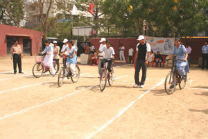 Slow Cycle Race - Click to Enlarge