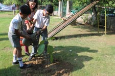 St. Mark's School, Janakpuri - Mega Tree Plantation Drive by Eco-Club - Vasudha