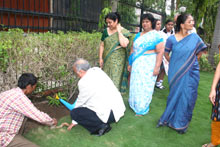 Eco Club - Tree Plantation Drive : Click to Enlarge