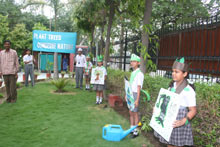 Eco Club - Tree Plantation Drive : Click to Enlarge