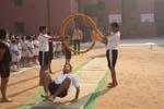 Budding gymnasts