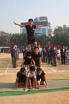 Budding gymnasts