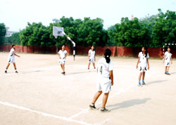 SMS, Janakpuri : Girls Volleyball Team - Click to Enlarge