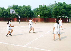 SMS, Janakpuri : Girls Volleyball Team - Click to Enlarge