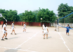 SMS, Janakpuri : Girls Volleyball Team - Click to Enlarge