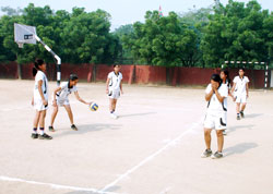 SMS, Janakpuri : Girls Volleyball Team - Click to Enlarge