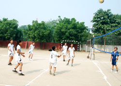 SMS, Janakpuri : Girls Volleyball Team - Click to Enlarge
