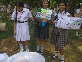 St. Mark’s School, Meera Bagh - Tree Plantation Programme : Click to Enlarge