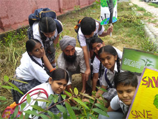 St. Mark’s School, Meera Bagh - Mega Tree Plantation Drive : Click to Enlarge