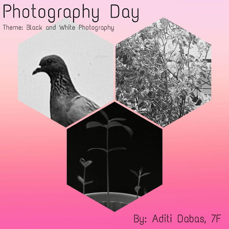 St. Mark's School, Meera Bagh - World Photography Day celebrated with some extraordinary clicks by our students : Click to Enlarge