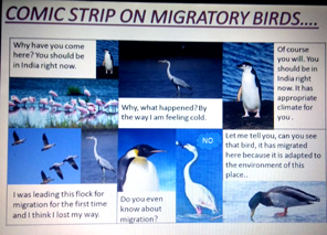 SMS Girls School, Meera Bagh - World Migratory Bird Day Celebrated : Click to Enlarge