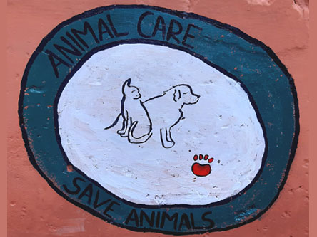 SMS Girls School, Meera Bagh - A visit to Sanjay Gandhi Animal Care Centre : Click to Enlarge