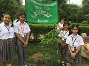 SMS Girls School, Meera Bagh - Plantation Drive : Click to Enlarge