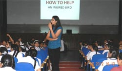 SMS, Girls School - A workshop on Adverse effects of kite flying : Click to Enlarge