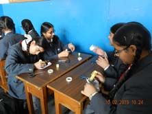 St. Mark's Girls School - Tech Girlz Workshop : Click to Enlarge