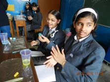 St. Mark's Girls School - Tech Girlz Workshop : Click to Enlarge