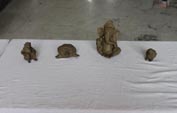 St. Mark's Girls School, Meera Bagh - Clay Modelling Workshop : Click to Enlarge
